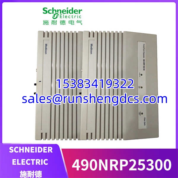 SCHNEIDER 490NRP25300