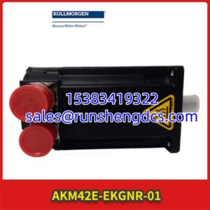 KOLLMORGEN AKM42E-EKGNR-01 | AKM42 Servo Motor