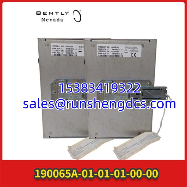 Bently Nevada 1900/65A-01-01-01-00-00