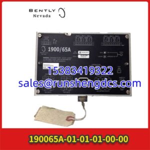 Bently 1900/65A-01-01-01-00-00 | Equipment Monitor
