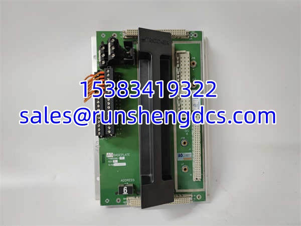 TRICONEX 2481
